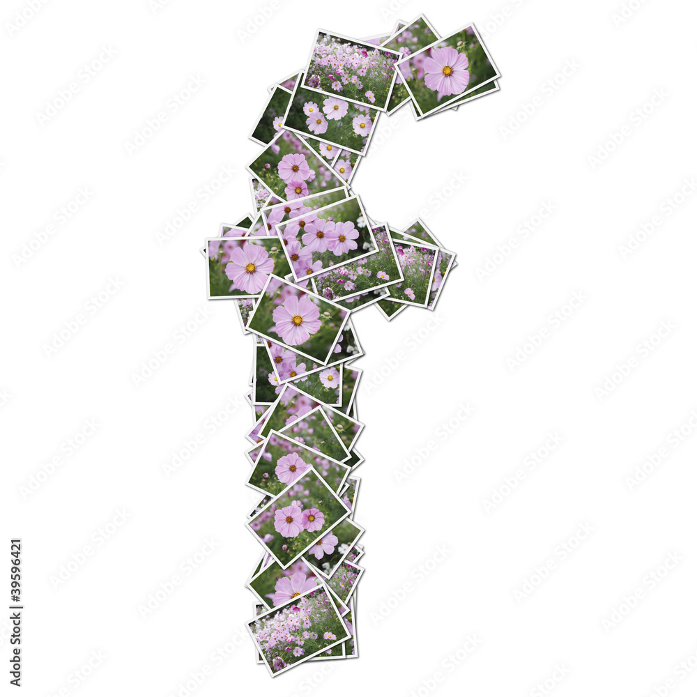 Alphabet flower Font, made from flower photo.