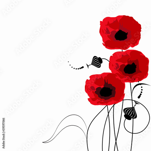 Fototapeta Naklejka Na Ścianę i Meble -  a bouquet of poppies