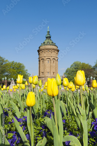 Obraz na płótnie Wasserturm Mannheim