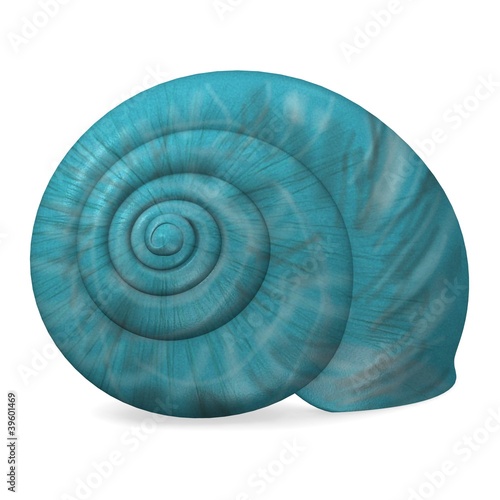 3d render of sea shell
