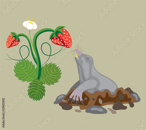 Mole and wild strawberry.