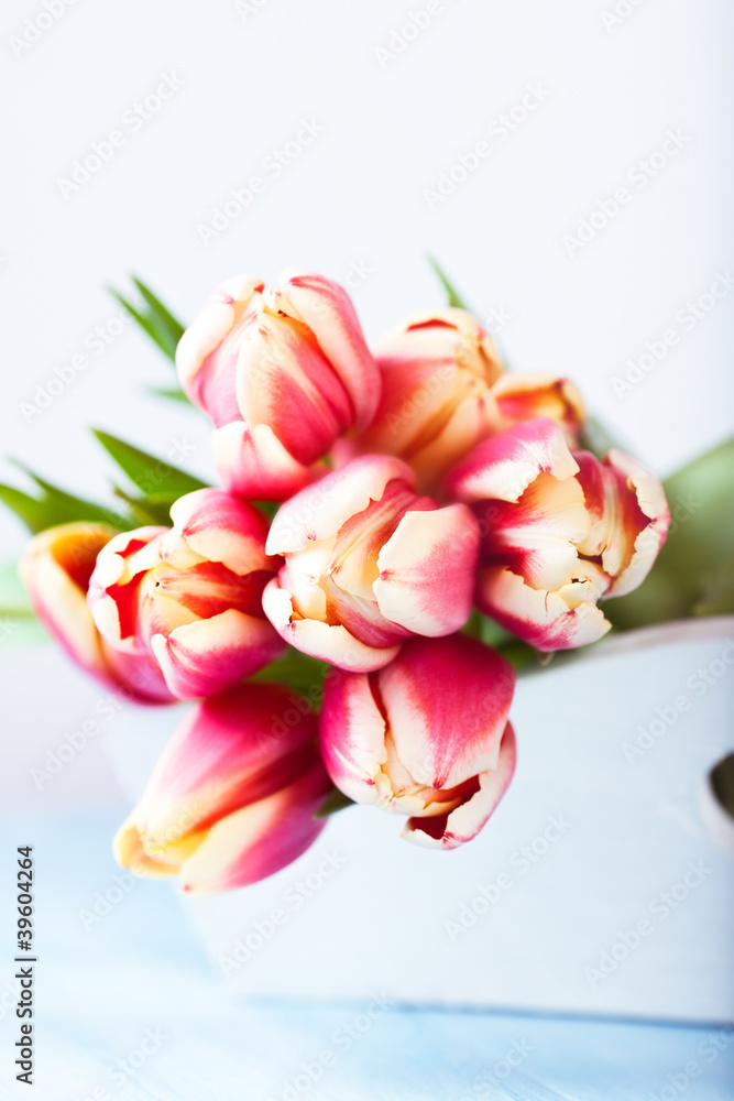 Bunch of Tulips on a Tray for Easter Bunch of Tulips on a Tray for Easter