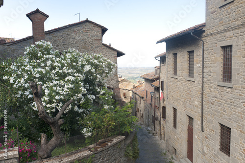 Fototapeta Naklejka Na Ścianę i Meble -  Cortona (Arezzo)