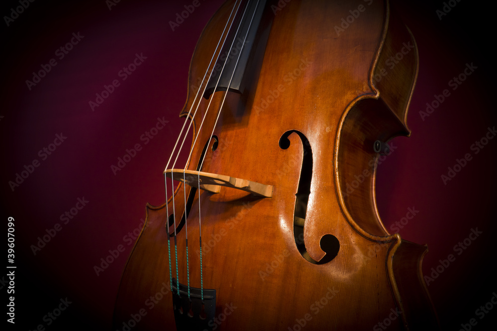 Fototapeta premium Contrabbasso
