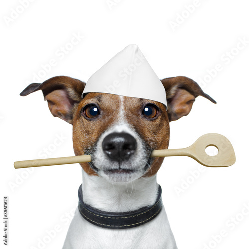 chef dog with cooking  spoon © Javier brosch