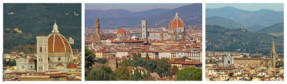 panoramic landscape of Florence collage, Tuscany, Italy, Europe