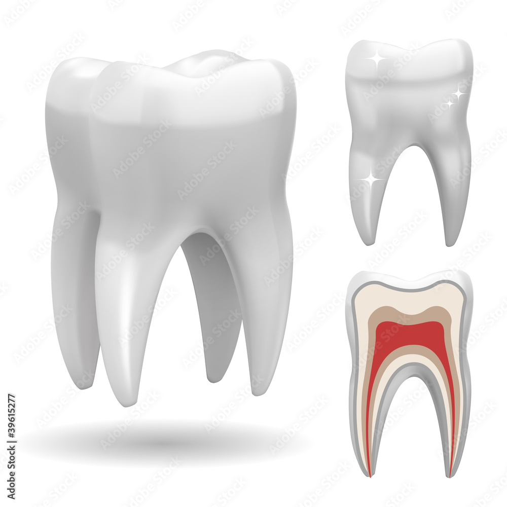 Excellent Vector Tooth Excellent Vector Tooth