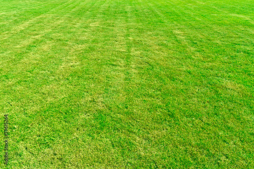 Lined pattern green grass field