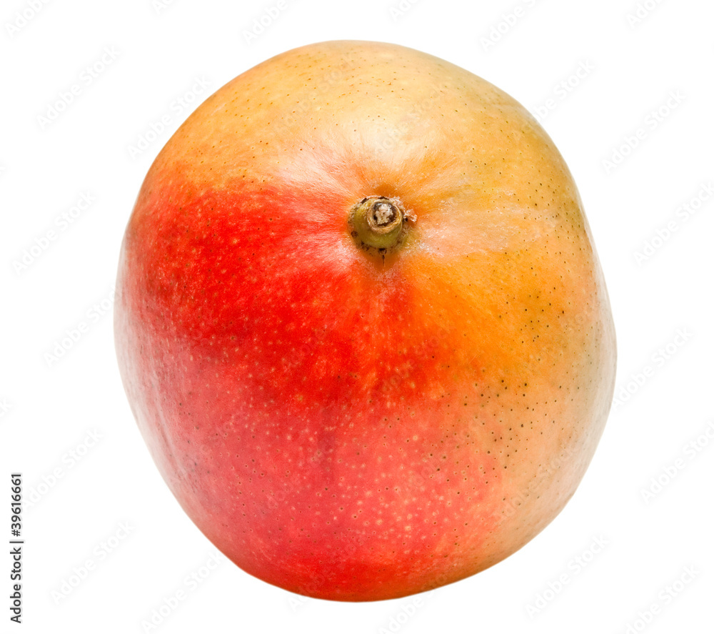 Mango isolated on white background Mango isolated on white background