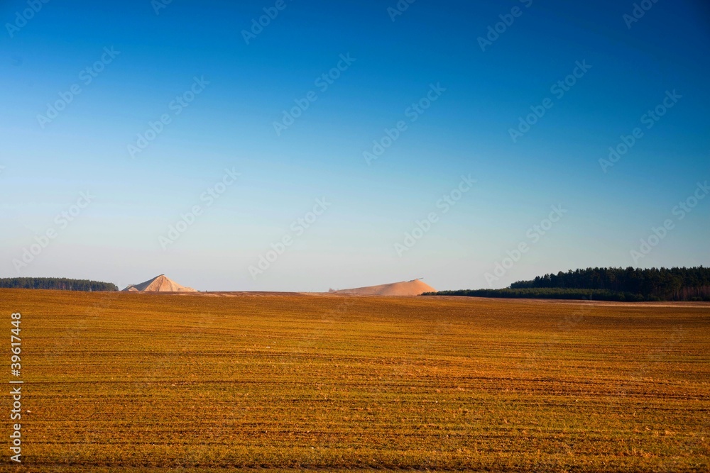 Fototapeta premium Przedwiośnie