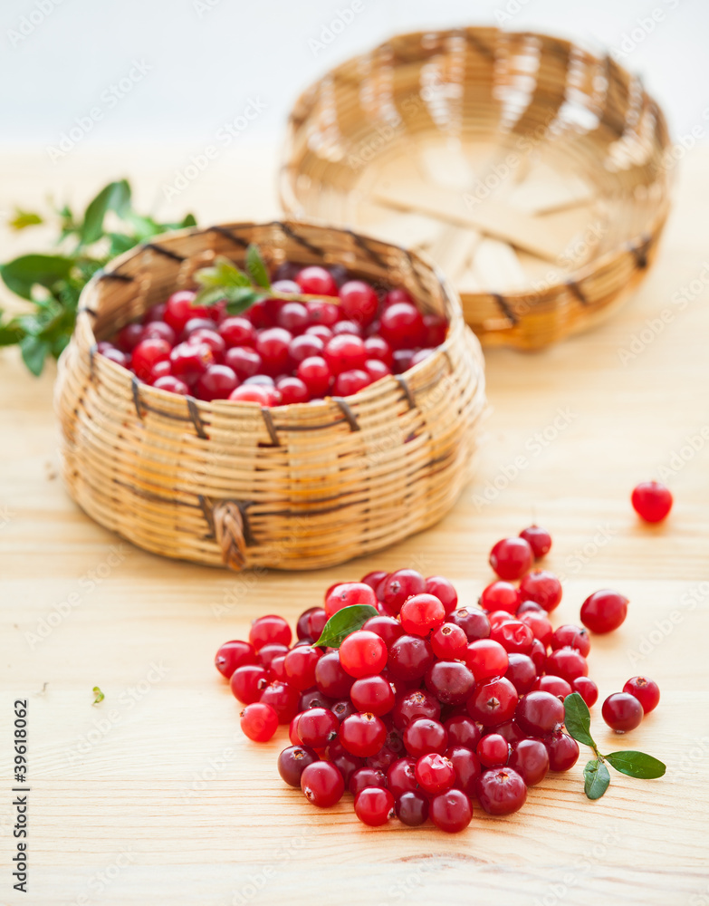 Fresh red cranberries Fresh red cranberries
