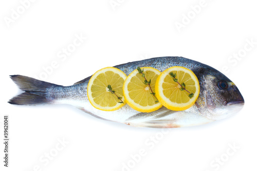 Fresh fish with lemon and thyme isolated on white.