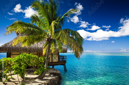 Fototapeta Naklejka Na Ścianę i Meble -  Tropical bungalow and palm tree next to amazing lagoon