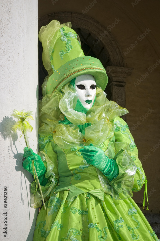 Obraz premium Venice Carnival