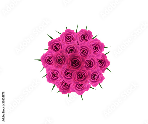 purple roses