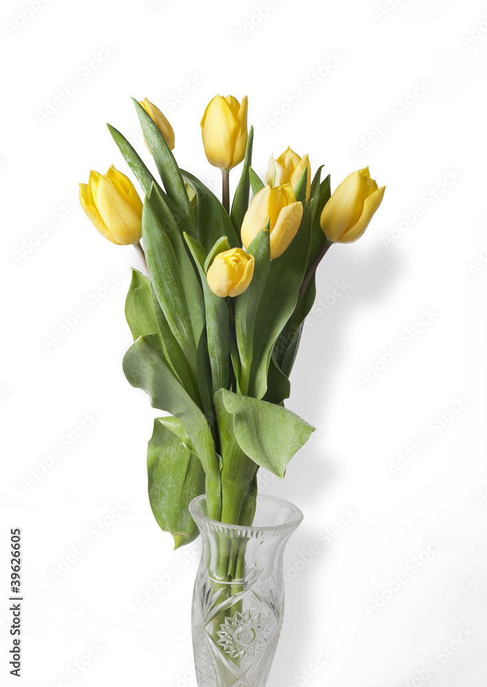 Fototapeta premium Tulipany