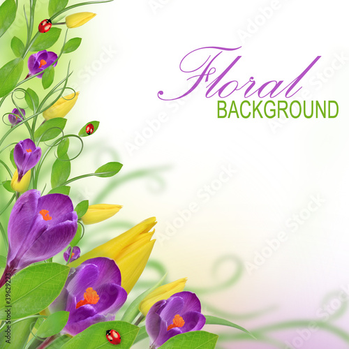 Beautiful floral design