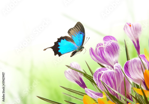 Spring background
