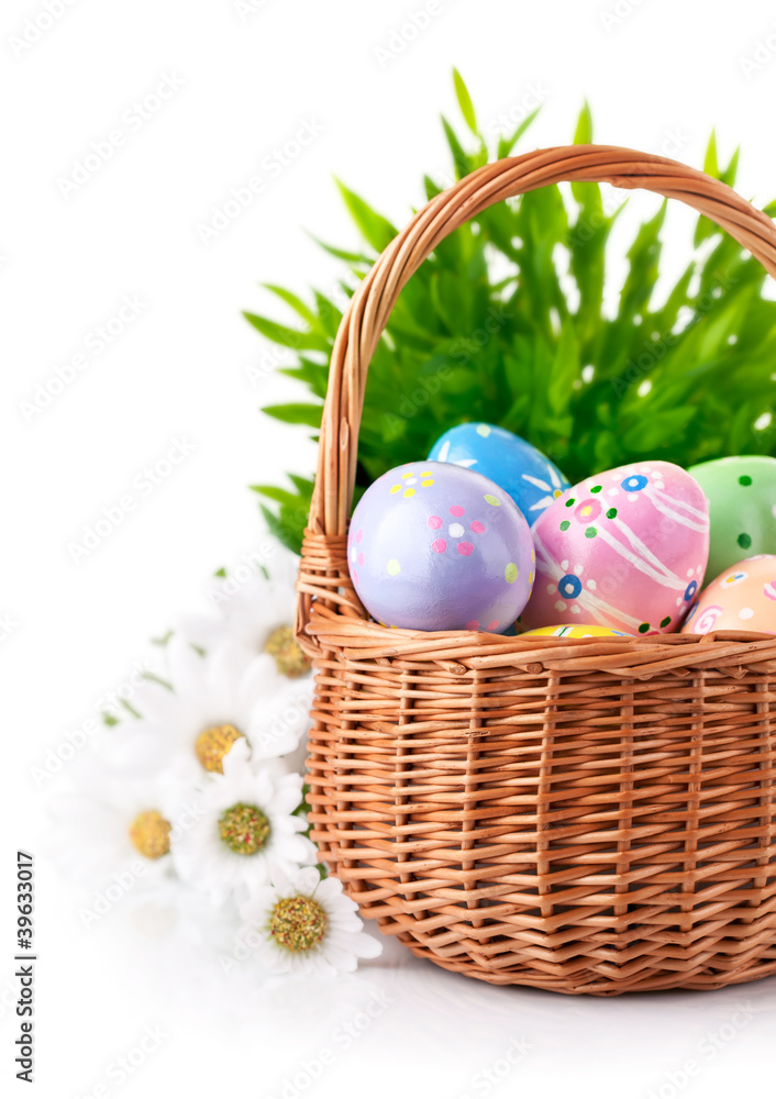 easter egg in basket with spring flower isolated on white easter egg in basket with spring flower isolated on white