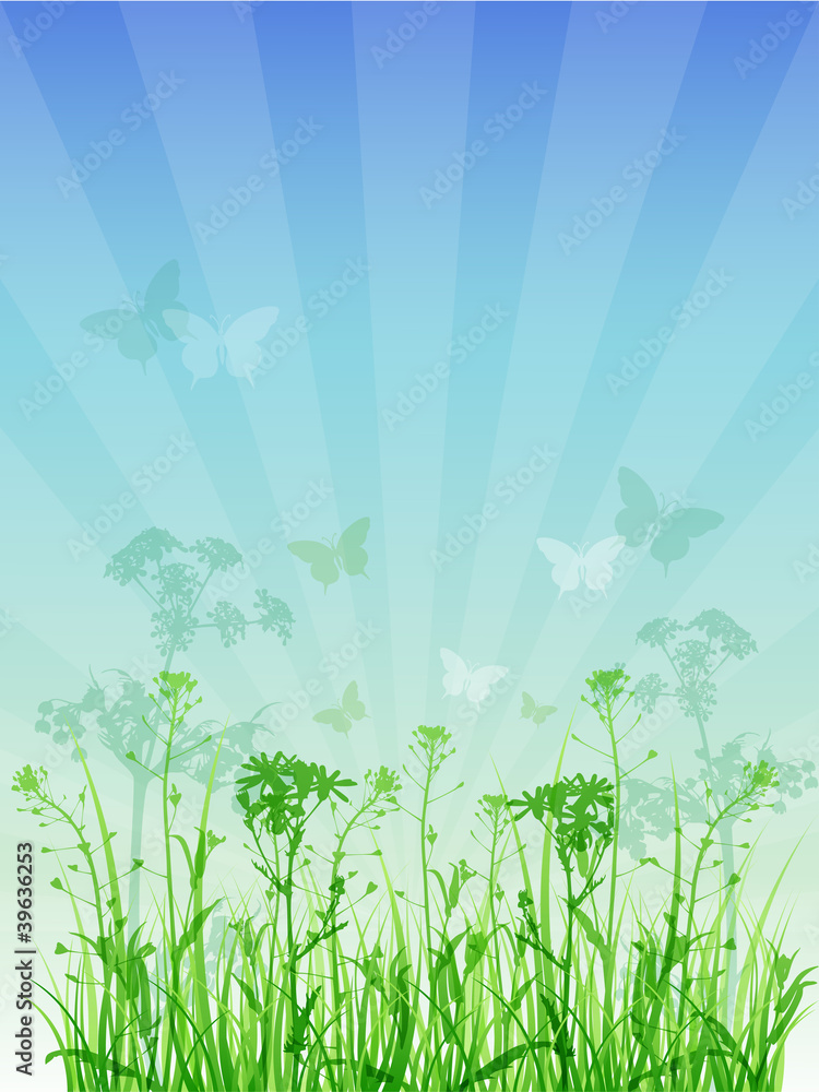 Obraz premium summer floral background