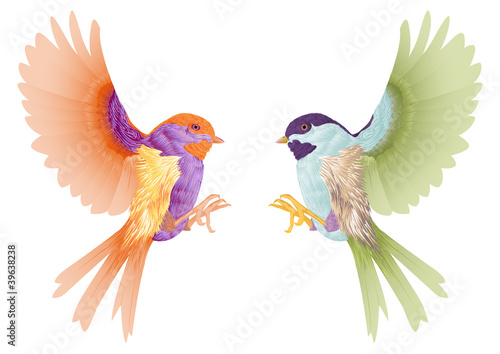 birds flying isolated in white