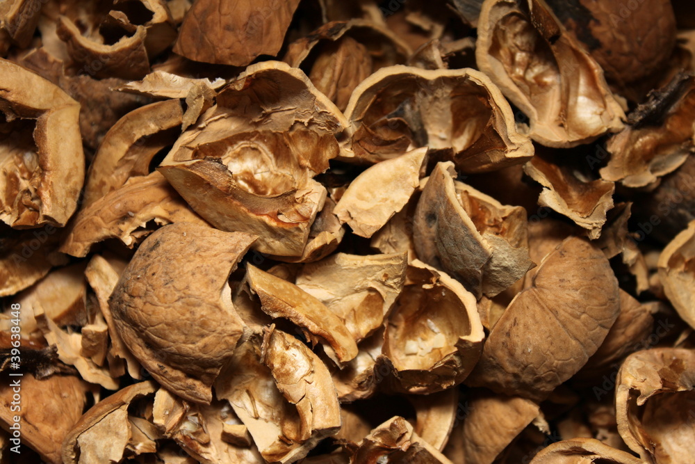 The structure of the broken walnuts closeup The structure of the broken walnuts closeup