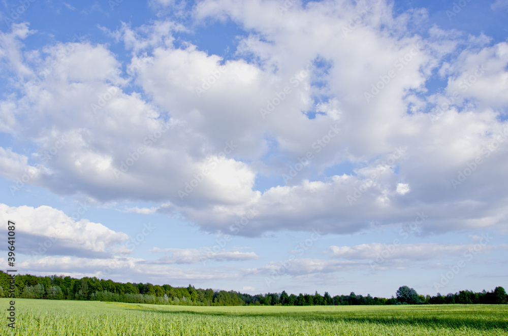 Huge green meadow shadows. Cloudy blue sky Huge green meadow shadows. Cloudy blue sky