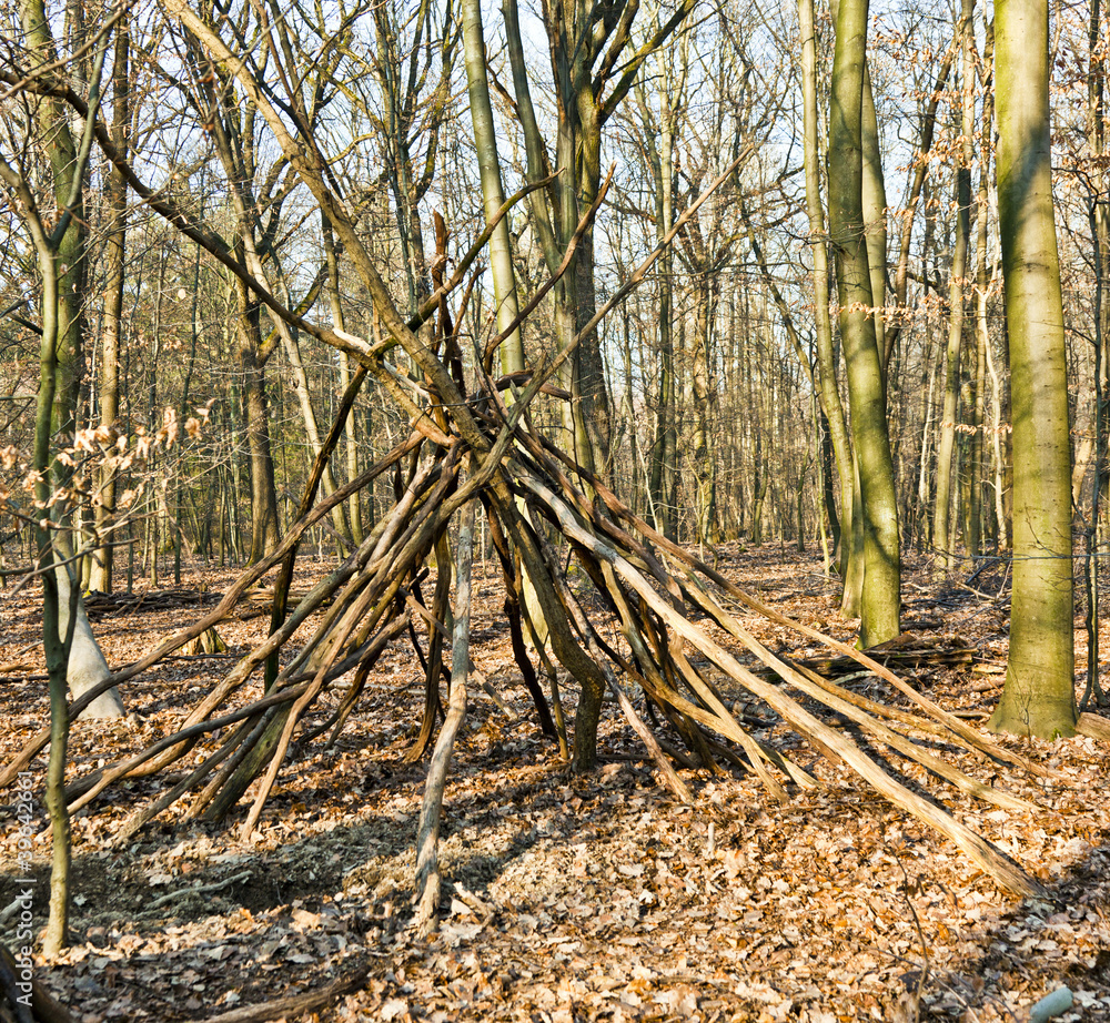 tent construction made of small trees in forest