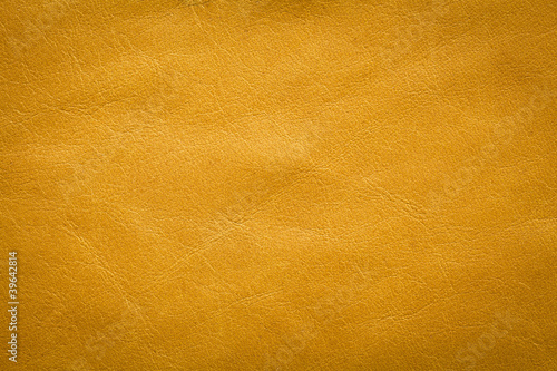 Textured Leather Background