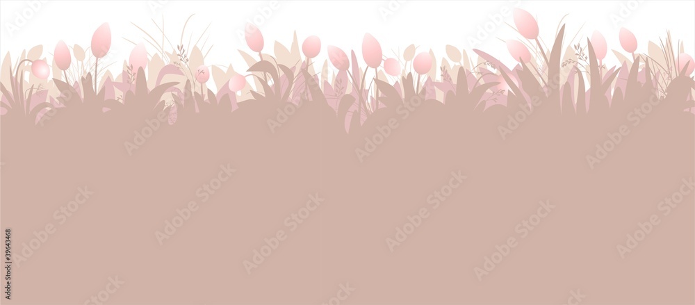 tulip border tulip border