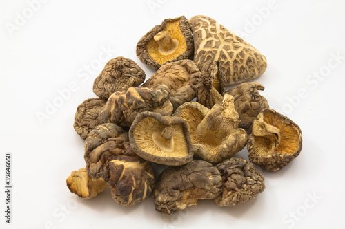 dried mushrooms in white background
