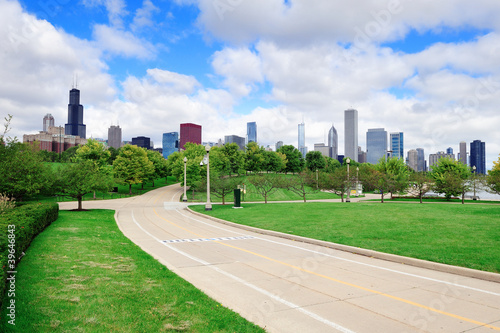 Chicago skyline over park