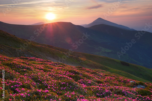 Summer landscape in mountains with the sun.