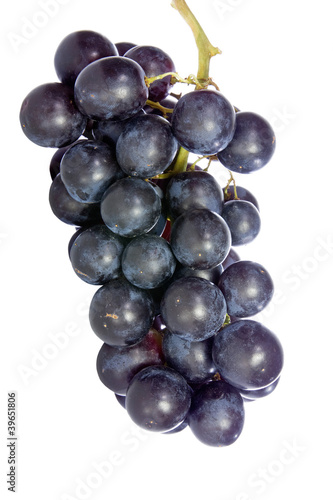 bunch of blue grape isolated on white