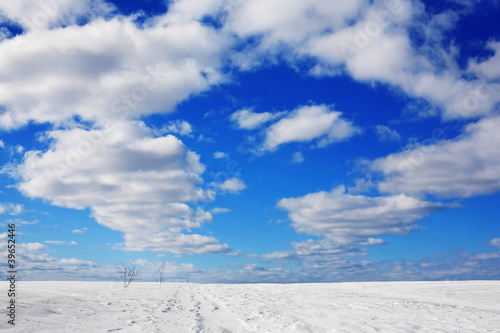 Sky in winter © Zemler