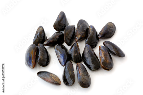 fresh mussels on white background