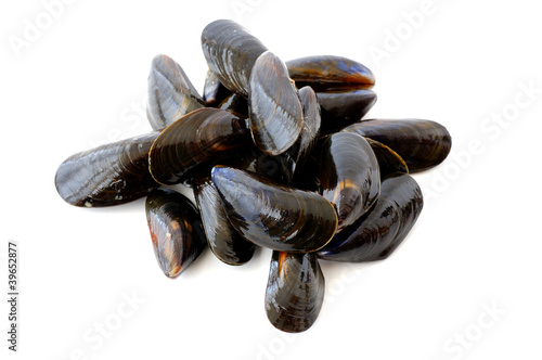 fresh mussels on white background