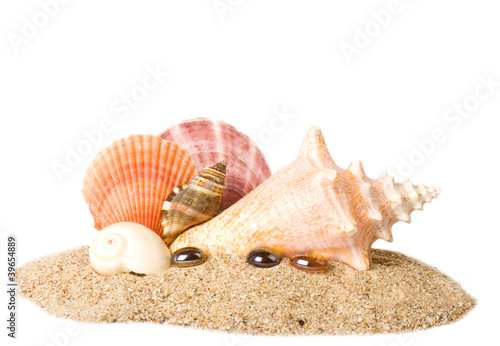 Beautiful exotic shell and crystals on sand