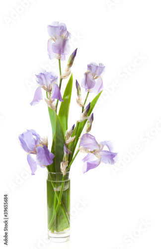 bouquet of spring  Irises in a vase isolated on white