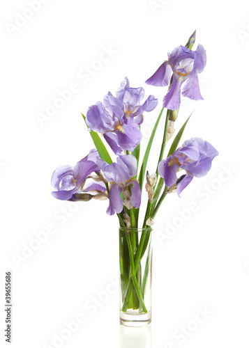 bouquet of spring Irises in a vase isolated on  white.
