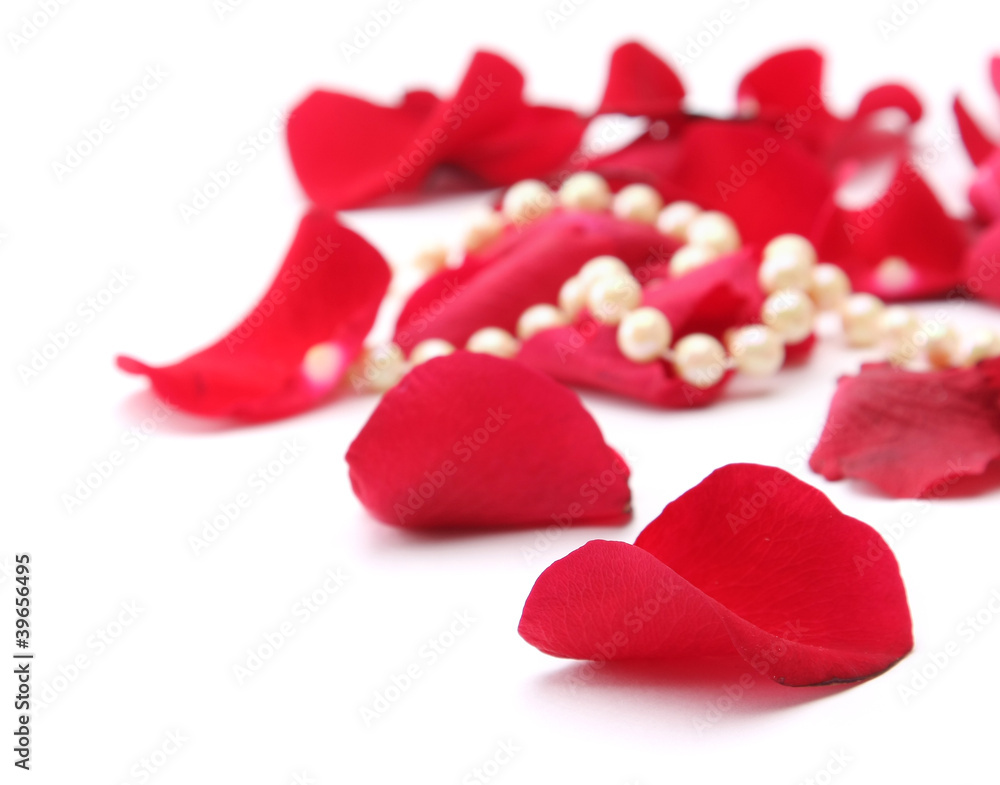 fine pearl beads and red roses petals fine pearl beads and red roses petals