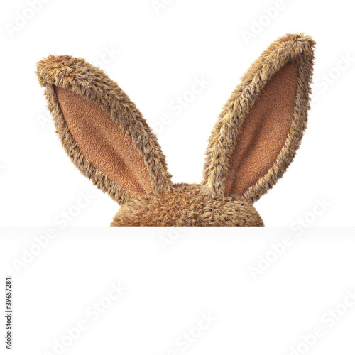 Stuffed bunny hiding behind blank board photo