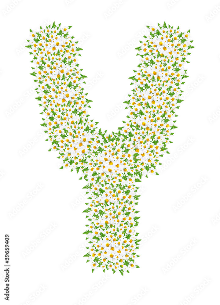 Y, daisy flower alphabet isolated on white background