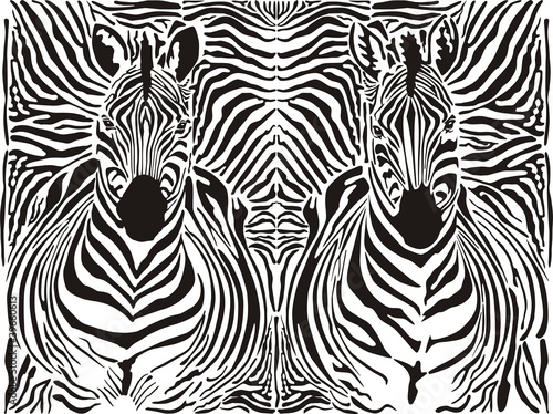 Zebra pattern background