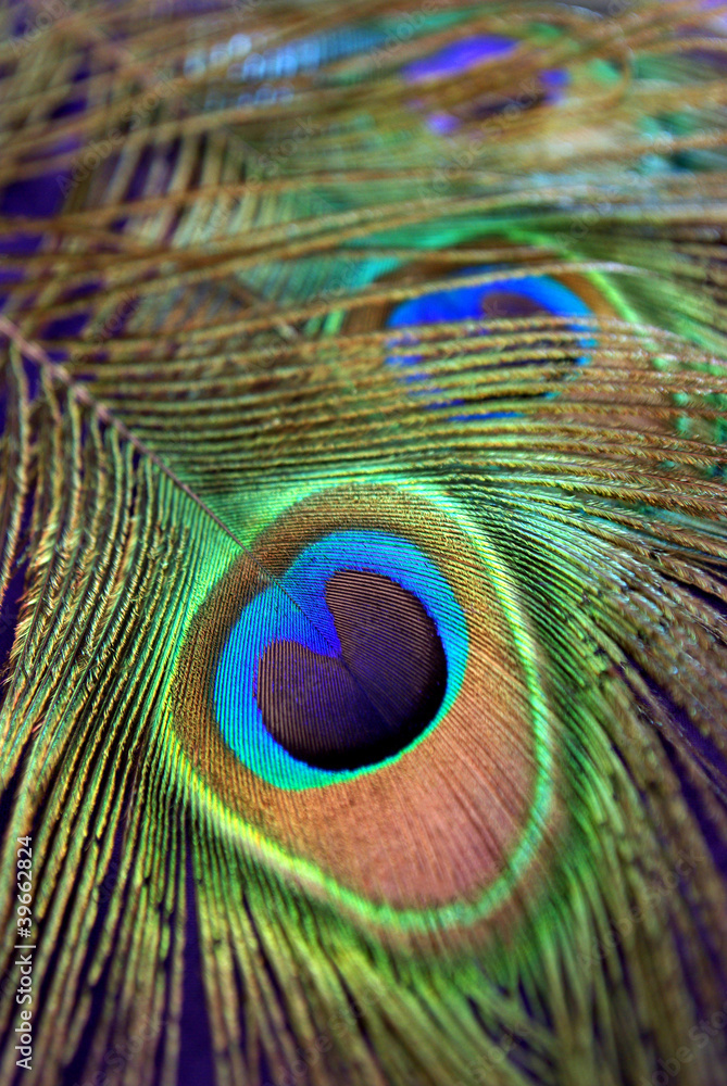 Obraz premium Naturschönheit