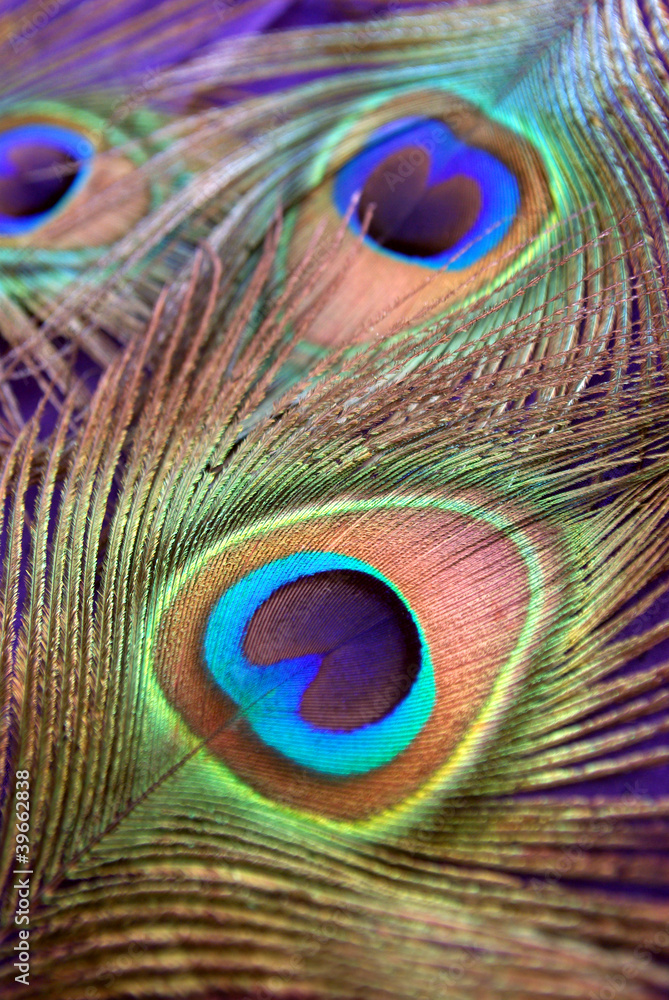 Naklejka premium Farbspiel