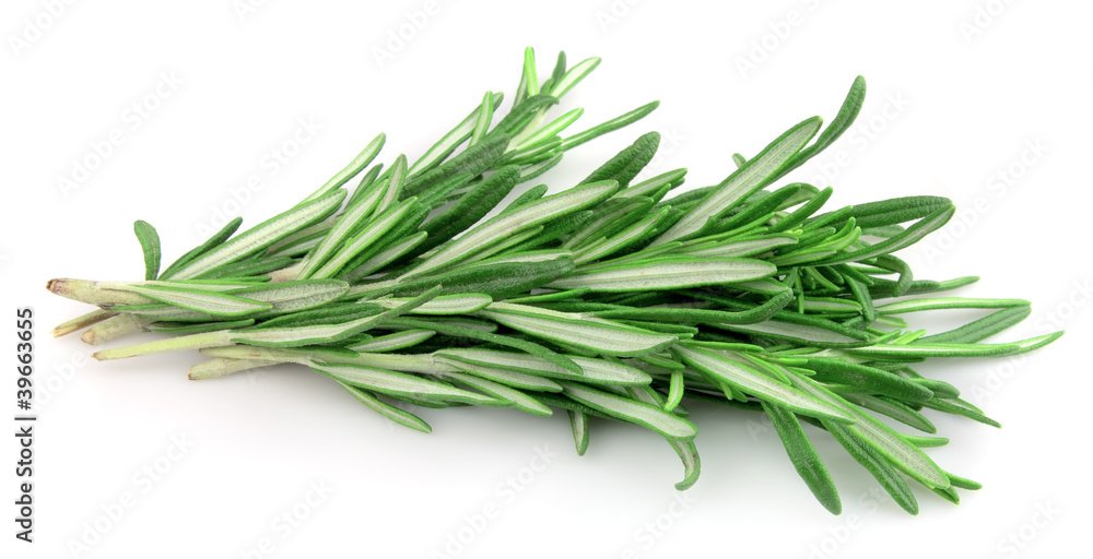 Twig of rosemary