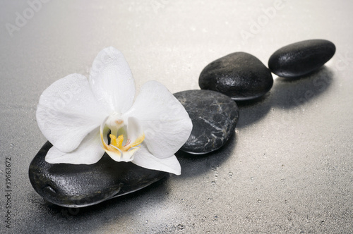 White orchid and stones over wet surface with reflection