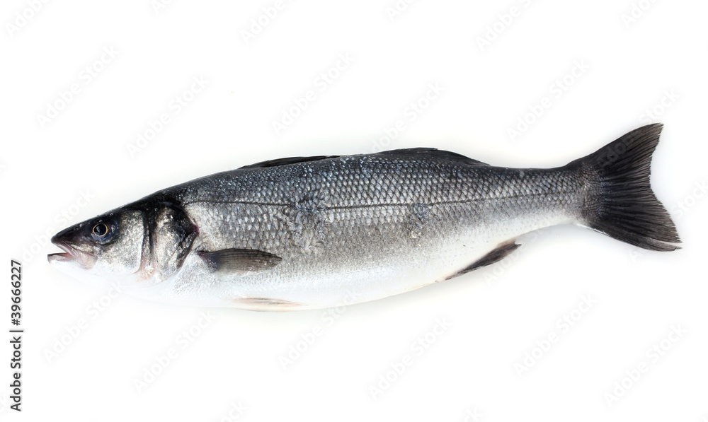 Fresh fish isolated on white Fresh fish isolated on white
