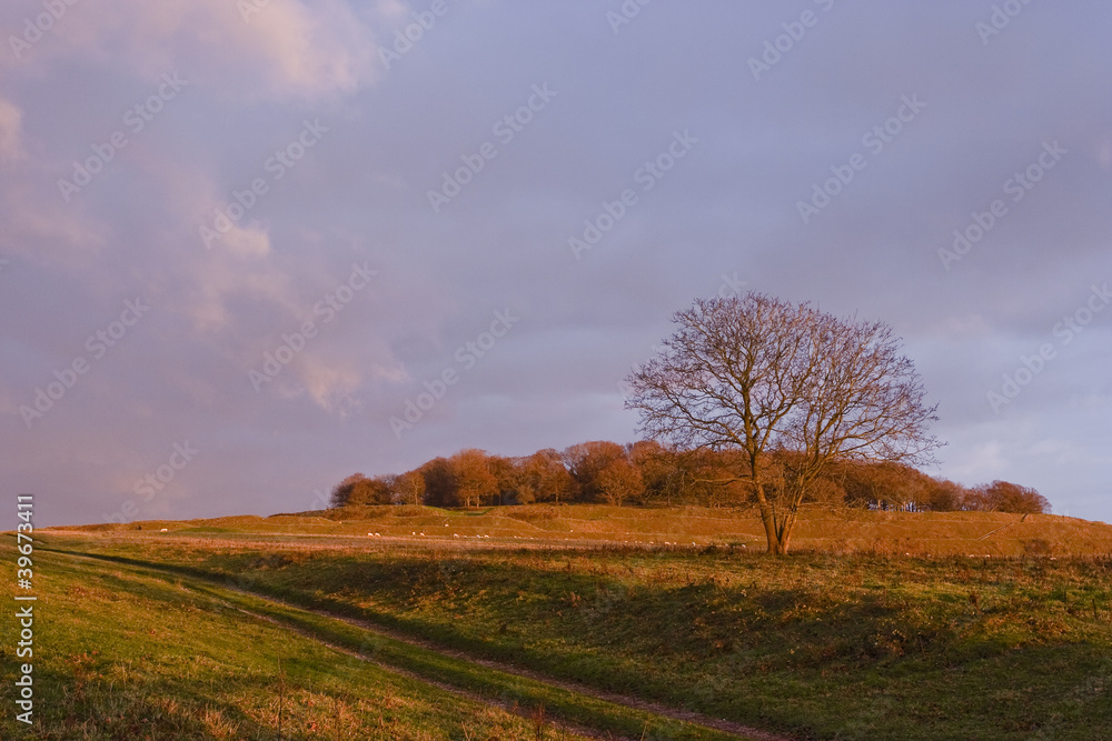 Looking up at Badbury Rings hillfort in Dorset